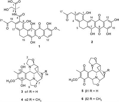 Marine mudflat actinomycetes as a novel natural products source